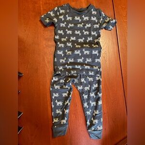 Hanna Andersson Zebra Print Pajamas 2T